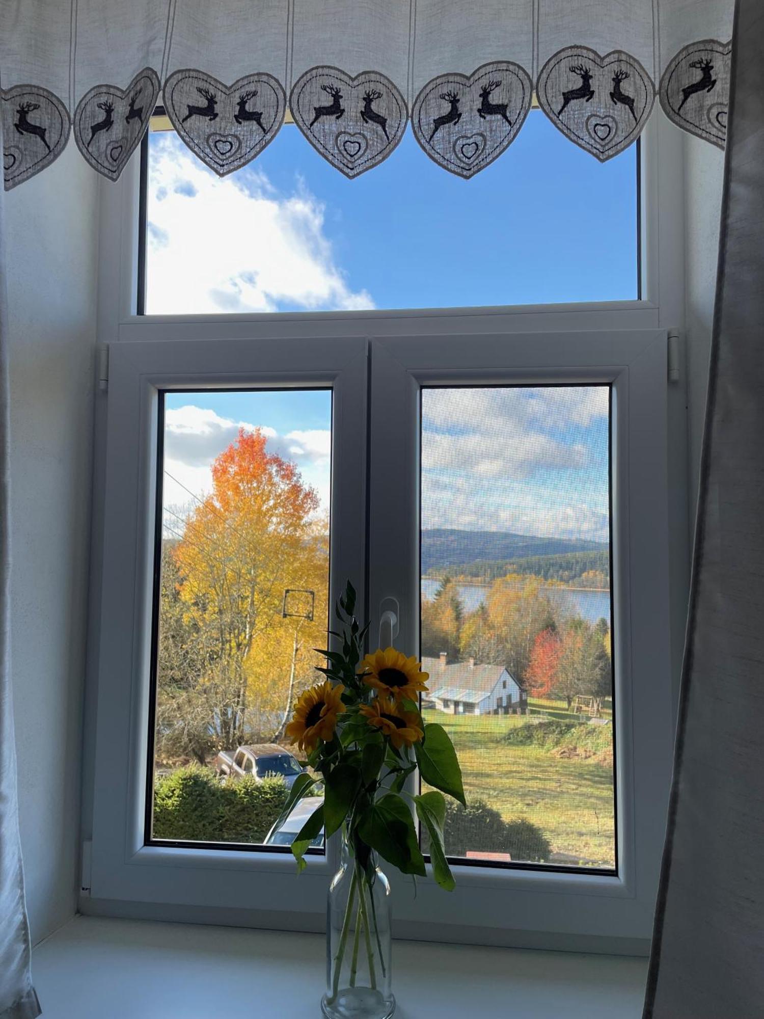 Apartmány HÁJOVNA Lipno Loučovice Kültér fotó